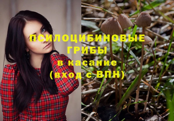 прущая мука Горнозаводск