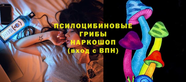 PSILOCYBIN Горно-Алтайск