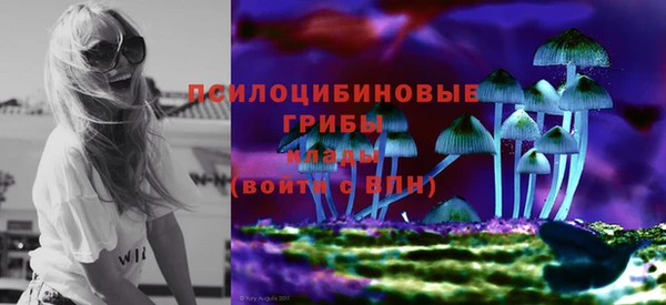 винт Горняк